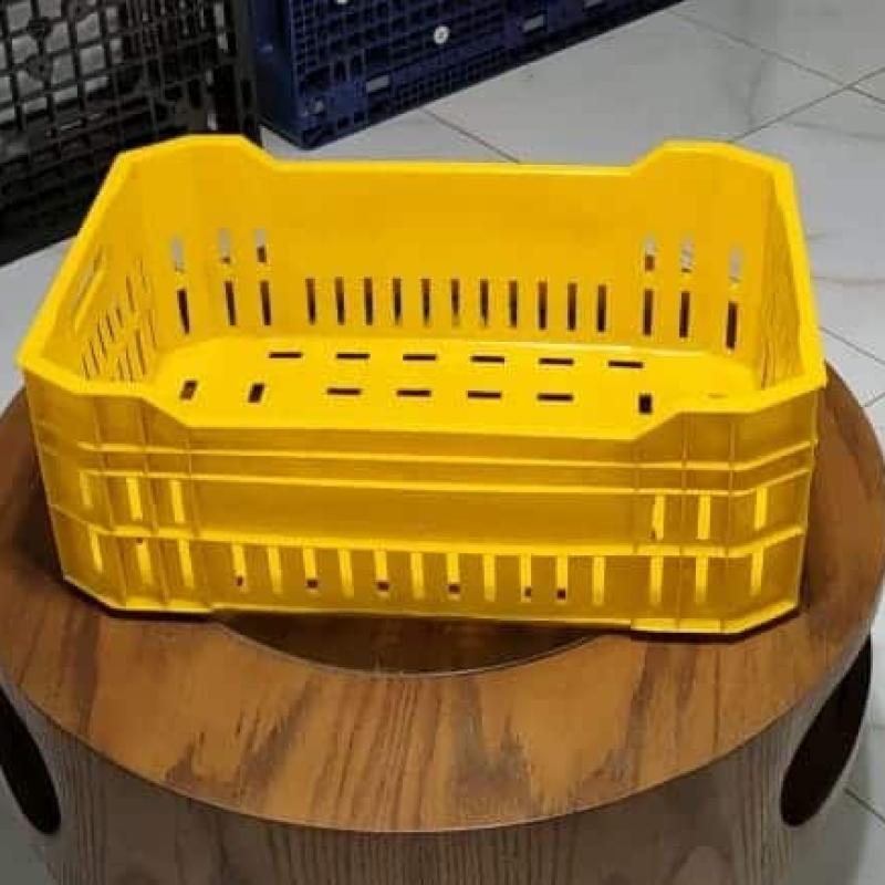 برنيكه السمك
